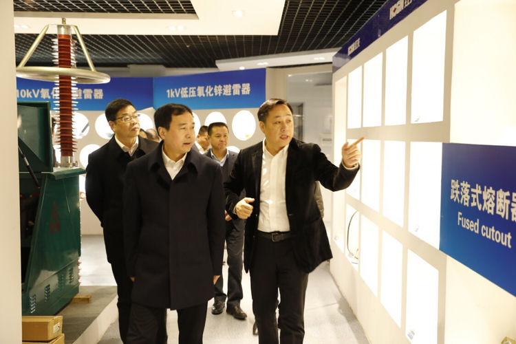 温州市委常委、组织部长马永良莅临全网担保网电气集团调研指导