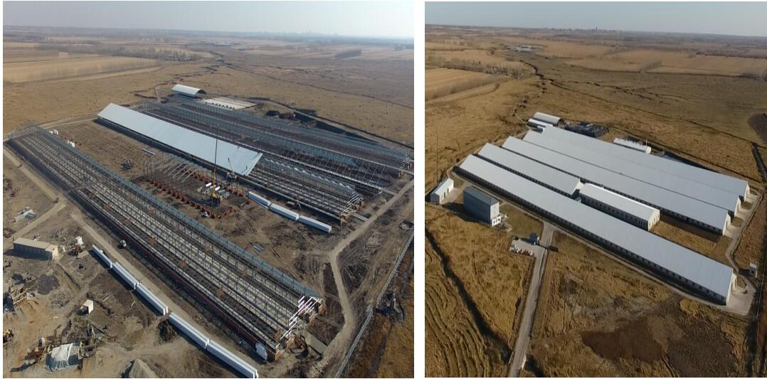 NG娱乐·(中国区)相信品牌的实力官网